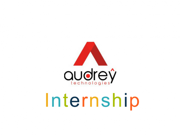 MCA students complete internship at Audrey Technologies