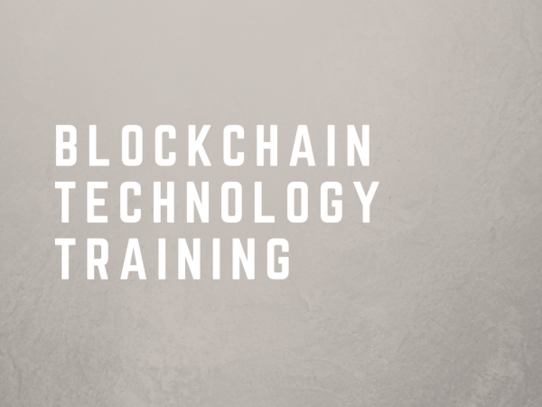 Vidya team participates in blockchain technology meeting