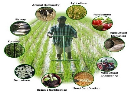 Integrated farming and water conservation measures by NSS volunteers ...