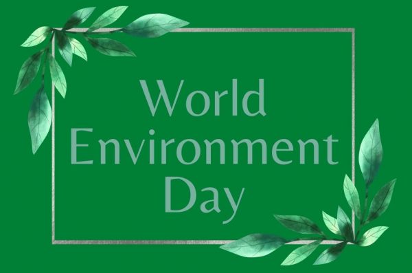 NSS volunteers celebrate World Environment Day