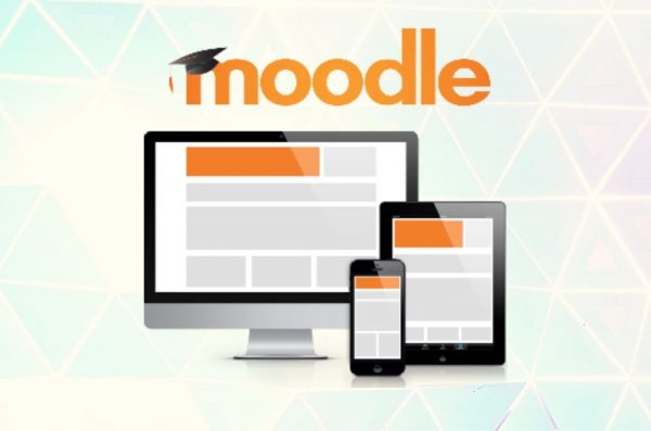 Vidya's Moodle expertise gets noticed!