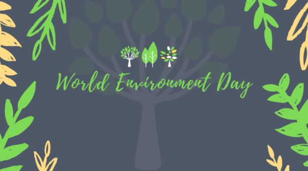 NSS volunteers celebrate World Environment Day