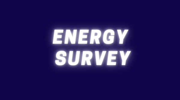 Energy Survey by NSS volunteers