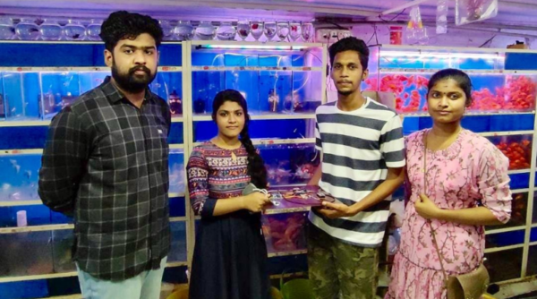 ECE students develop a smarter way to grow ornamental fish