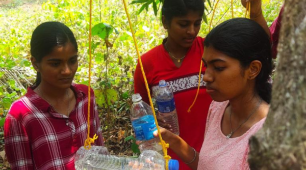 NSS volunteers place 'THANEERKUDAM'  (A pot of water for birds) in campus