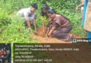 Vidya NSS volunteers plant tree saplings