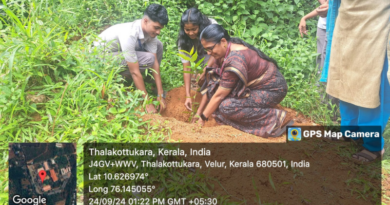 Vidya NSS volunteers plant tree saplings