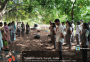 Vidya NSS Units celebrate World Environment Day with Tree Marathon and Sustainable Initiatives
